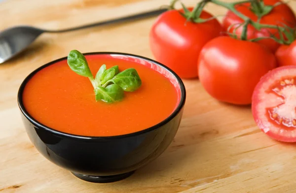 Hiszpański zimne zupy pomidorowe gazpacho — Zdjęcie stockowe