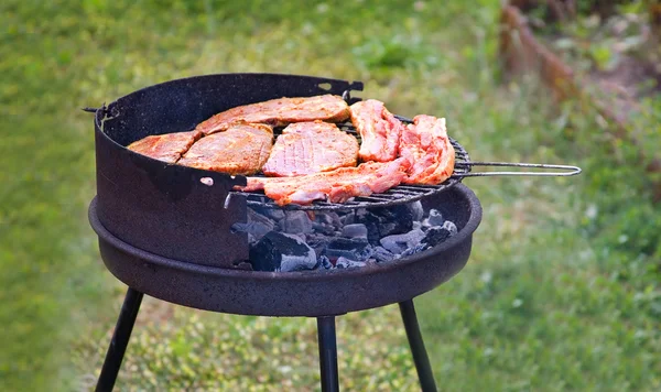 Summer grilling — Stock Photo, Image