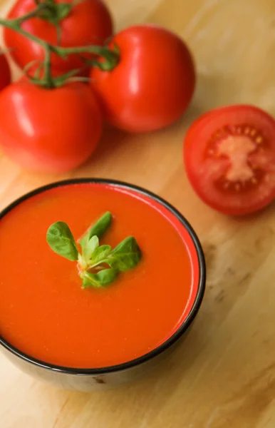 Gazpacho soğuk İspanyol domates tabanlı çorba — Stok fotoğraf