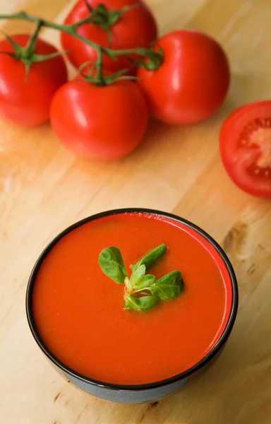 stock image Cold Spanish tomato-based soup gazpacho