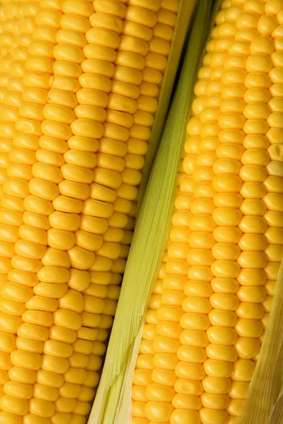 两个玉米背景 — 图库照片
