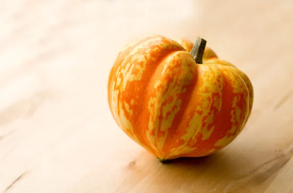 stock image Harvset time! Small orange pumpkin on th