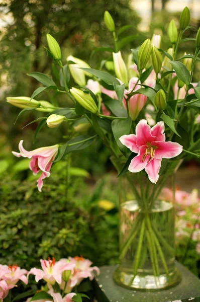 Schöner Bund rosa Lilien in einem tran — Stockfoto