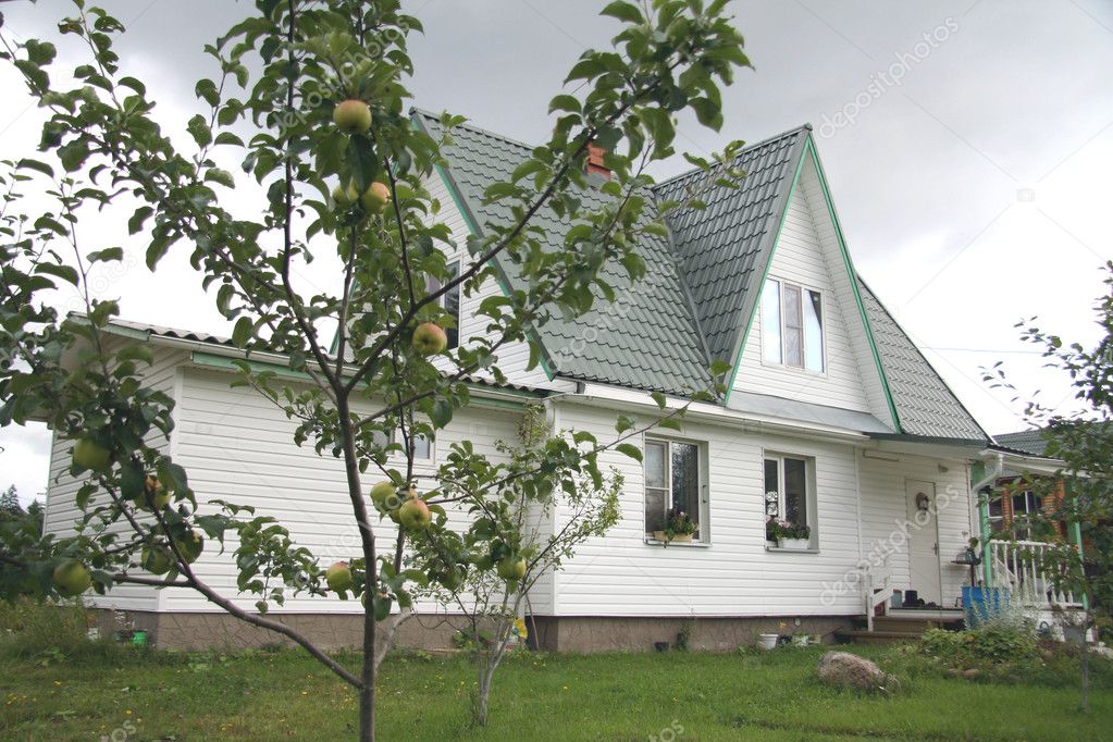 Beautiful country house with an apple tree in front of it