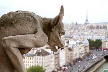 gargoyle Close-Up