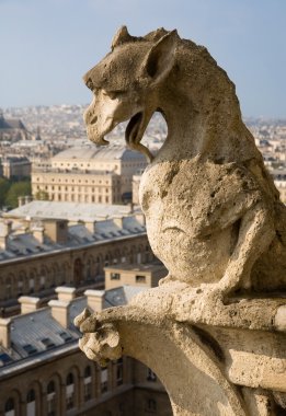 gargoyle Close-Up