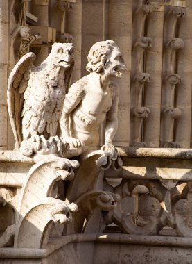 gargoyles üst kısmında notre-dame, yakın çekim de paris