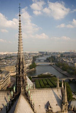 Bird-view of Paris from the Notre-Dame de Paris clipart