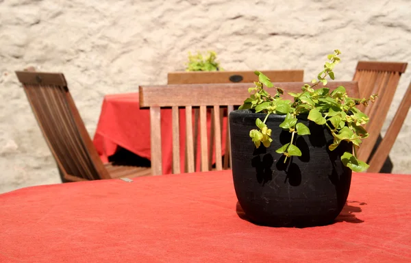 Mesa de café de rua com toalha de mesa vermelha e uma planta — Fotografia de Stock