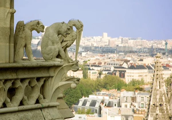 Μεγέθυνση της gargoyles στην κορυφή Νοτρ-Νταμ de Παρίσι — Φωτογραφία Αρχείου