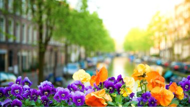 Spring in Amsterdam clipart