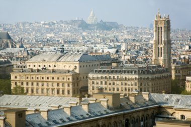 Bird-view of Paris clipart