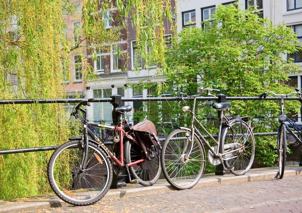 Fahrräder, Symbole von Amsterdam — Stockfoto