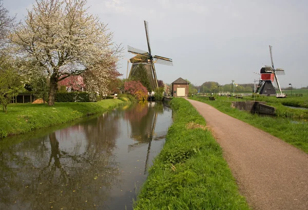 Deux moulins à vent pittoresques — Photo