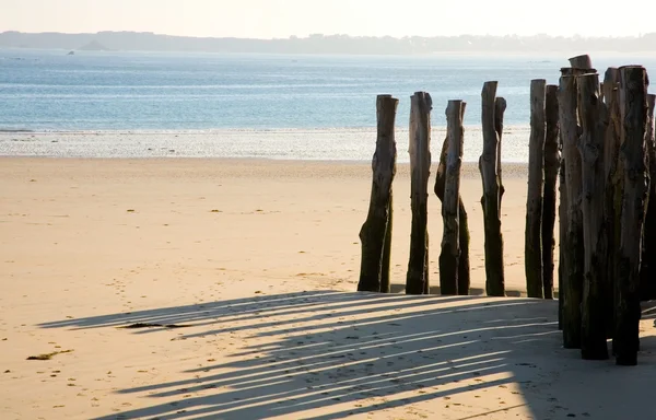 Traditional wooden stakes at Saint-Malo — Stock Photo, Image