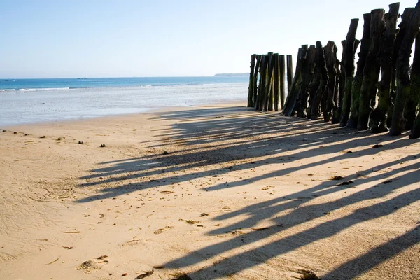 Traditional wooden stakes at Saint-Malo — стокове фото