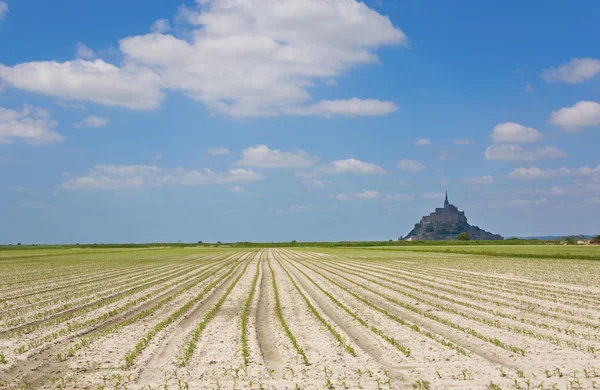 Cultivated filed and Mont Saint-Michel — Stock Photo, Image