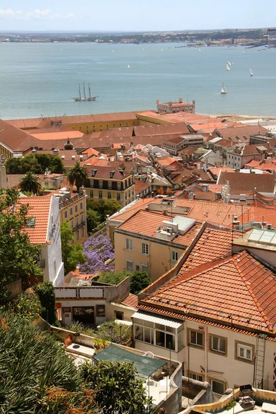 Fågel sätt att centrala Lissabon — Stockfoto