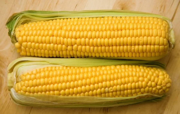 Dois espigas de milho — Fotografia de Stock