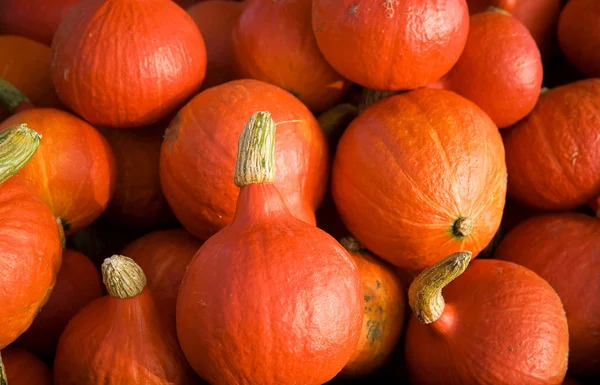 Stock image Vegetable background