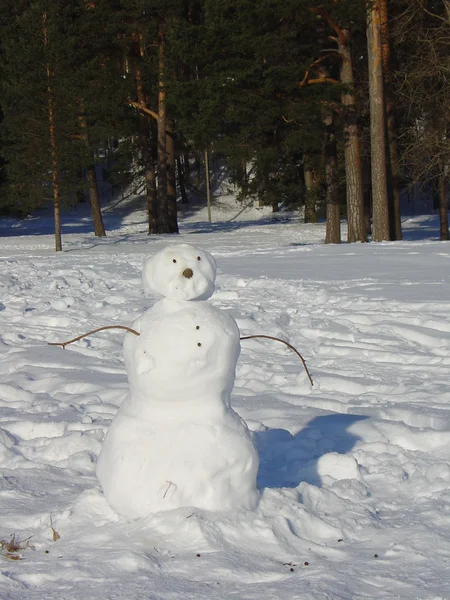 Hombre de nieve en un bosque —  Fotos de Stock