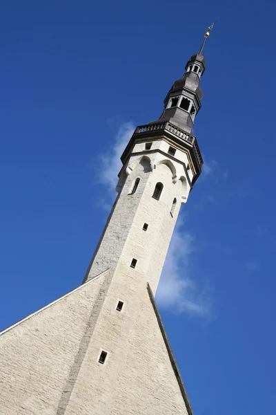 Rathausgebäude in Tallinn — Stockfoto