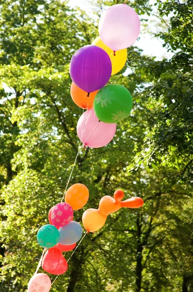 Bunch of many colored balloons — Stock Photo, Image
