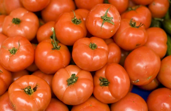 新鮮な完熟トマトの背景 — ストック写真