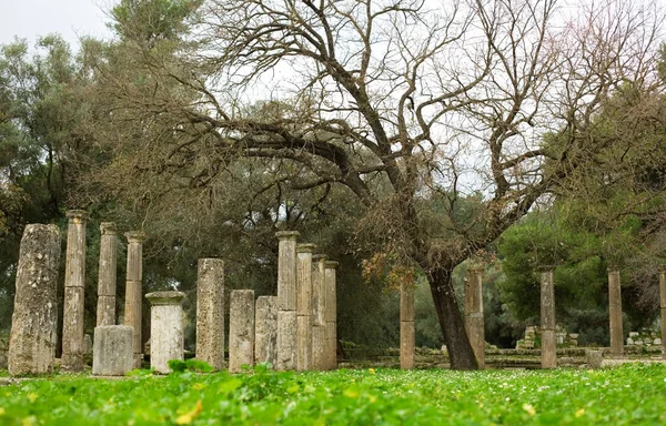 Древние колонны Археи-Олимпии — стоковое фото