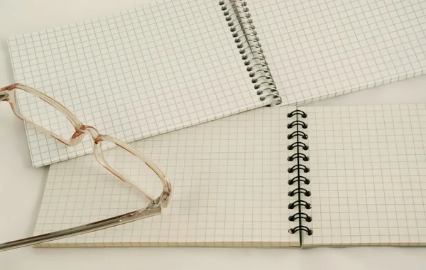 Zwei offene Notizbücher und Brillen. — Stockfoto