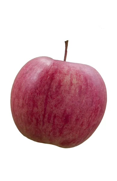 Jablka. — Stock fotografie