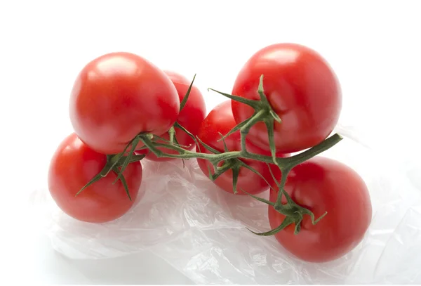 Pomidory na gałęzi. — Zdjęcie stockowe