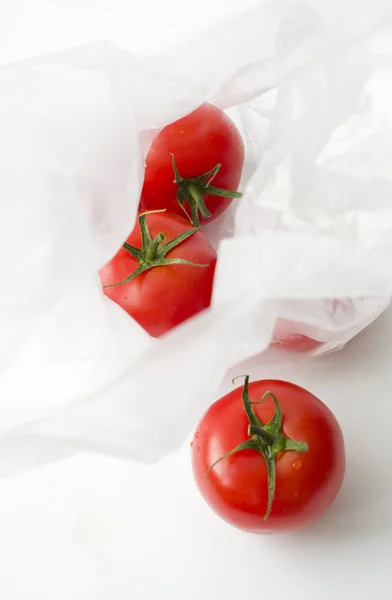 Les tomates . — Photo