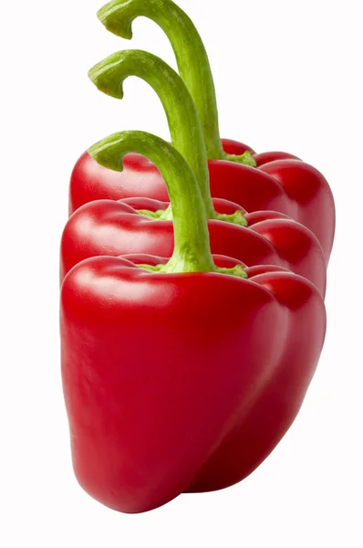 Drie rode chilipepers. — Stockfoto