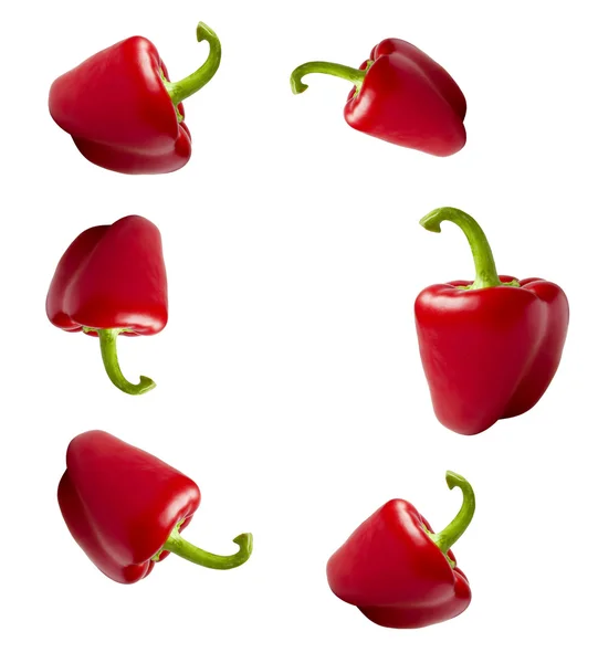 Pepers czerwony. — Zdjęcie stockowe
