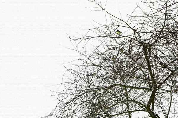 The bird on a tree. — Stock Photo, Image