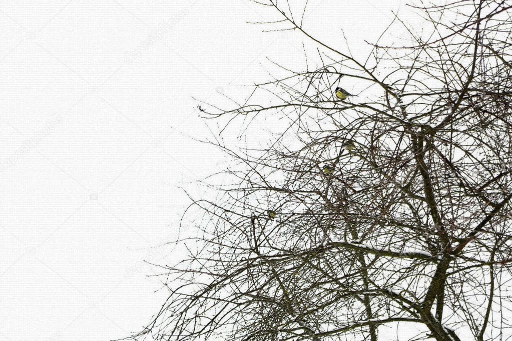 The bird on a tree.