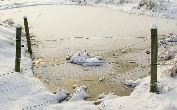 Lagoa no inverno . — Fotografia de Stock