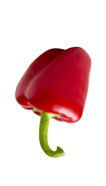 A pimenta vermelha . — Fotografia de Stock