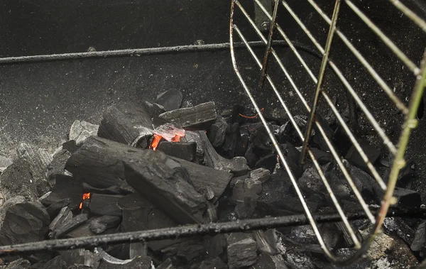 炎と石炭. — ストック写真