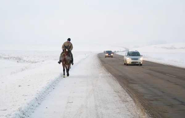 El caballo en el camino . —  Fotos de Stock
