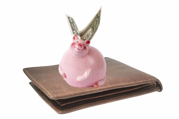 Pink pig. — Stock Photo, Image