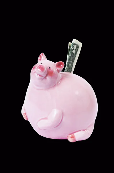 stock image Pink pig.