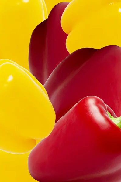 Pimentos vermelhos e amarelos. — Fotografia de Stock