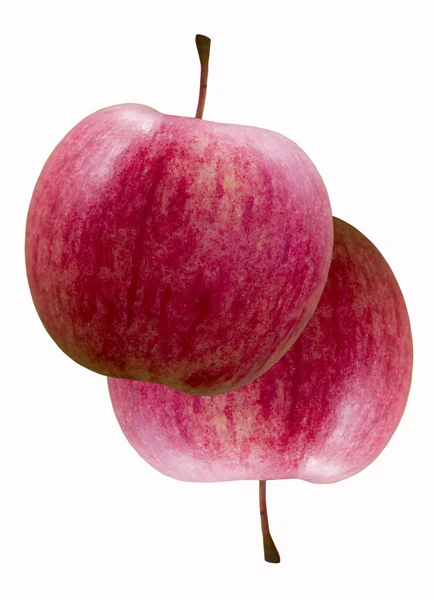 Deux pommes d'amour . — Photo