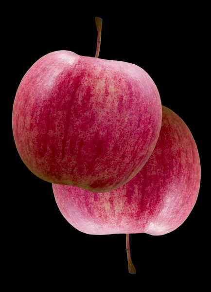 Két szeretet az alma. — Stock Fotó
