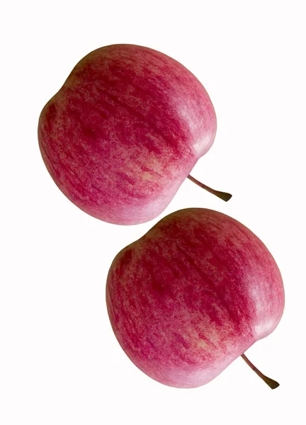 Dos manzanas . —  Fotos de Stock