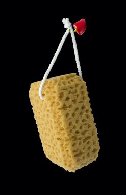 Sponge on the pepper`s hook. clipart