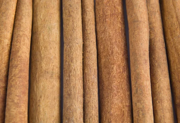 stock image Cinnamon sticks.