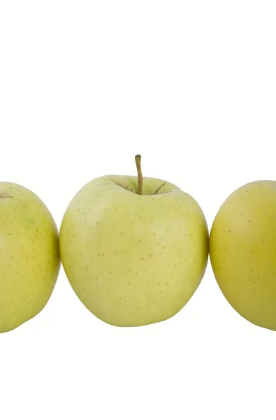 Яблоки. — стоковое фото